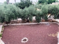 .משרדי תיווך במושבים בגליל העליון